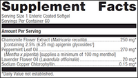 Intesol® Enteric Coated 60 SG by Metagenics