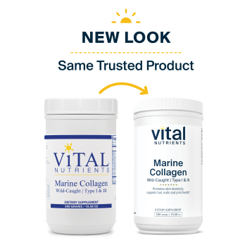 Marine Collagen Type I & III 30 servings by Vital Nutrients