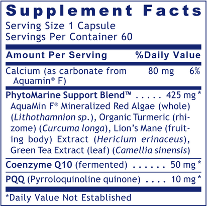 PQQ Complex with CoQ10 Premier 60 caps by Premier Research Labs